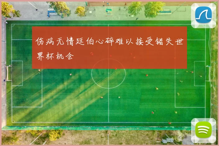伤病无情廷伯心碎难以接受错失世界杯机会