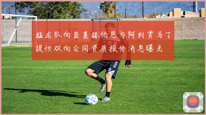 猛龙队向查基赫伯恩与阿利贾马丁提供双向合同资质报价消息曝光
